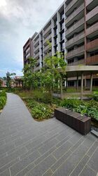 Pasir Ris 8 (D18), Apartment #475791291
